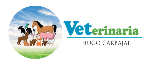 Veterinaria Hugo Carbajal